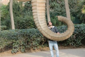 374811_2979338133153_1357274057_n